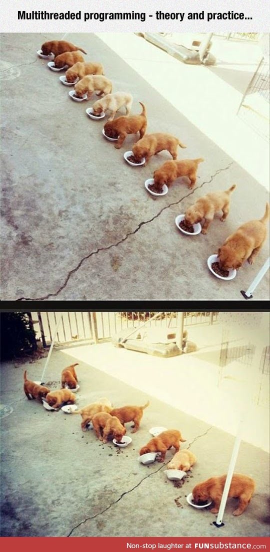 Multithreaded Programming