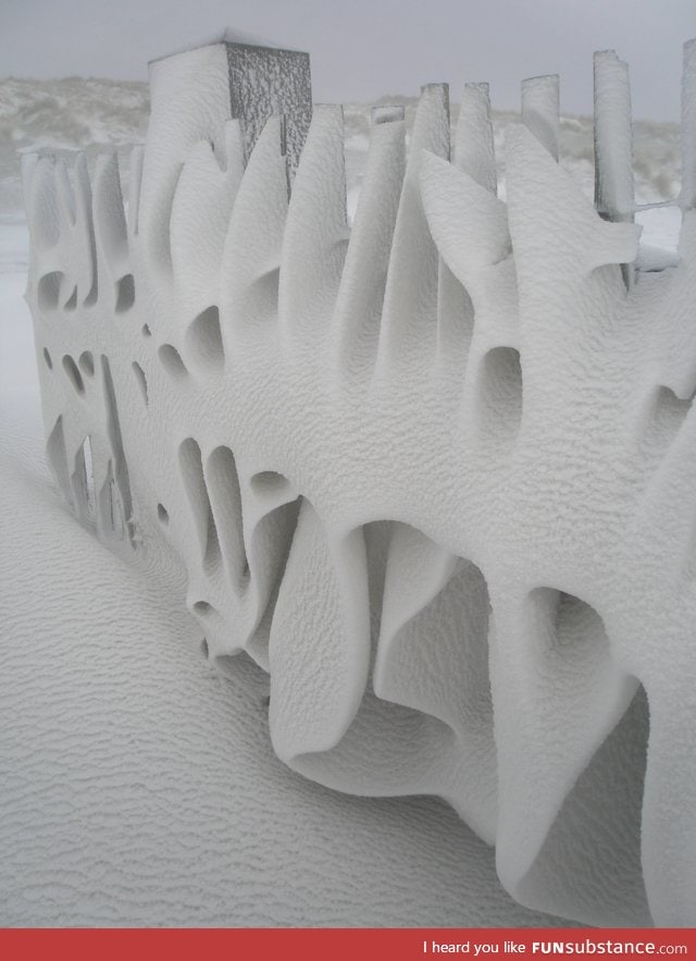 fence after a snowy night on Terschelling