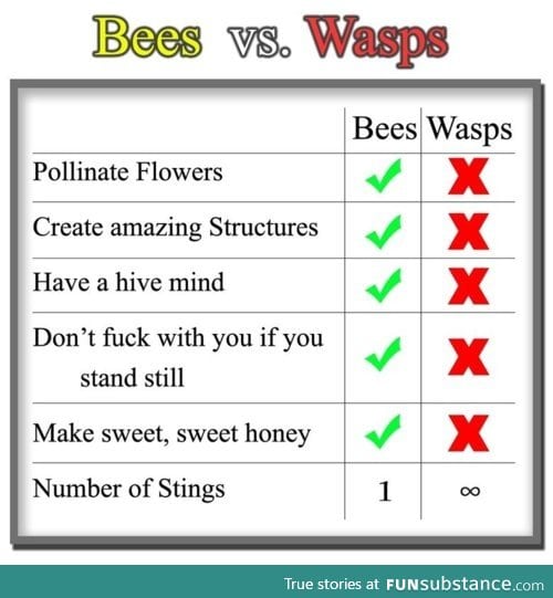 Useless wasps