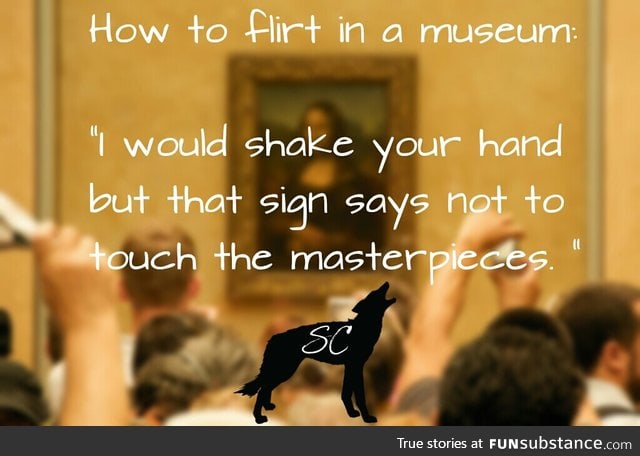 Museum Pick Up Line