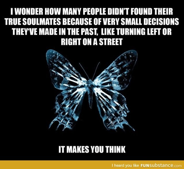 The butterfly effect