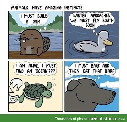 Instincts