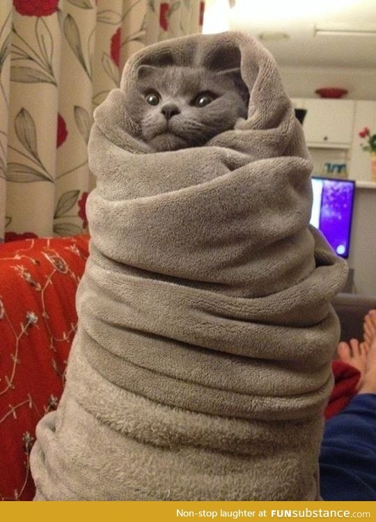 Purrito