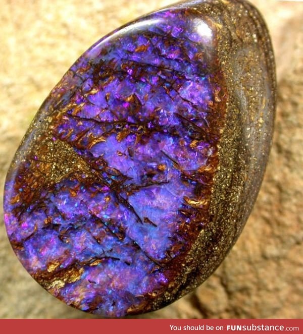 Opalized wood electric blue fire stone