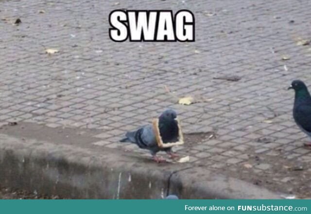 Pigeon swag