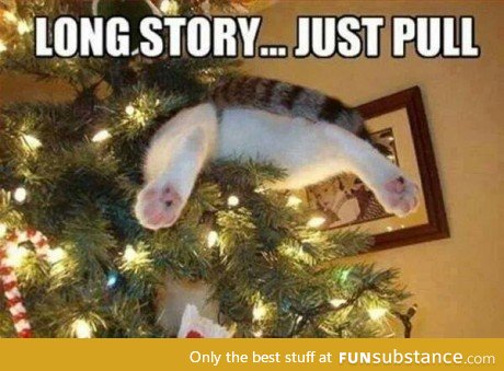 Cats and Christmas trees