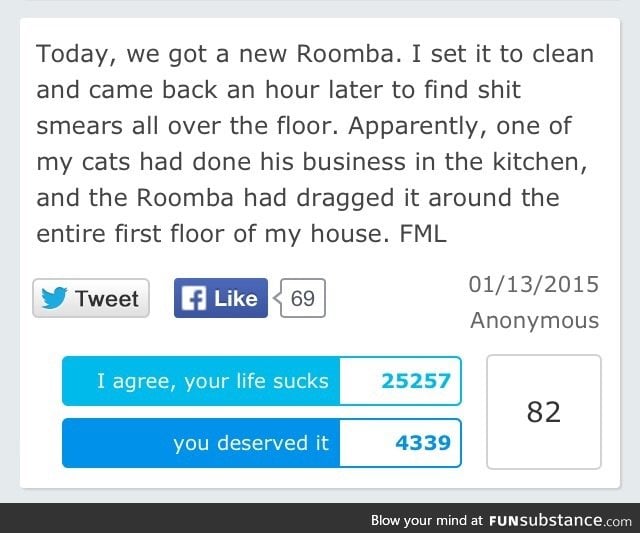 Don't trust the Roomba. Or cats.