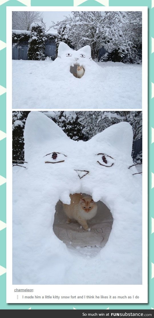 Kitty snow fort