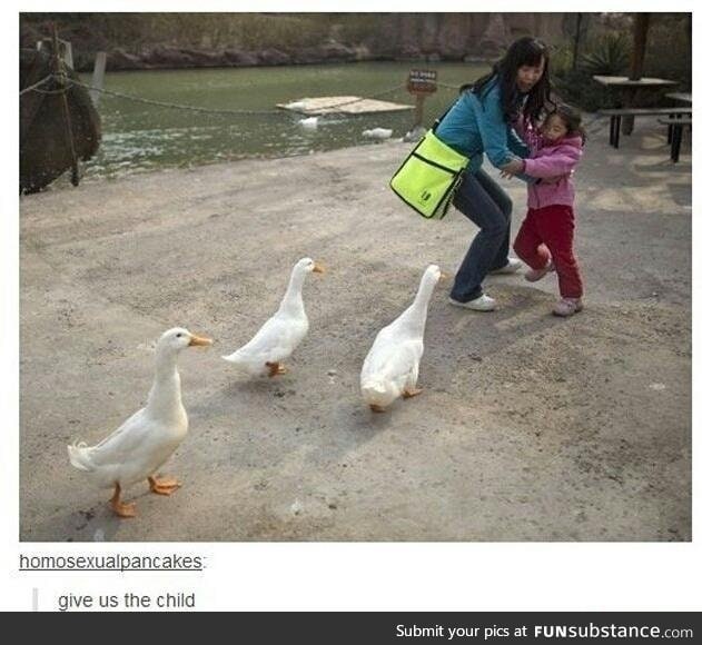 Quick, duck!