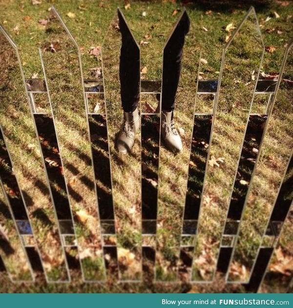 Mirrored fence