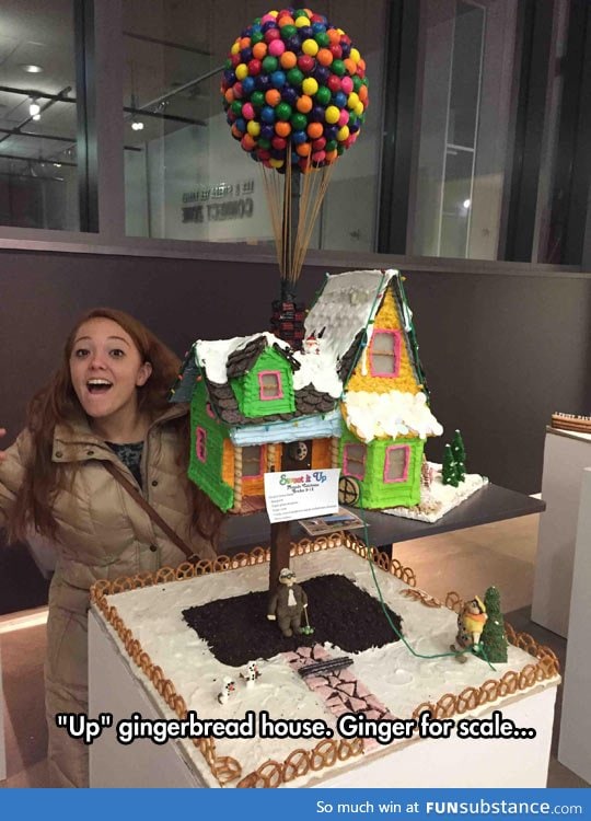 Gingerbread house from the movie 'up'