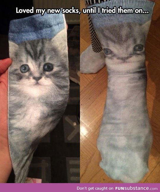 Cat socks