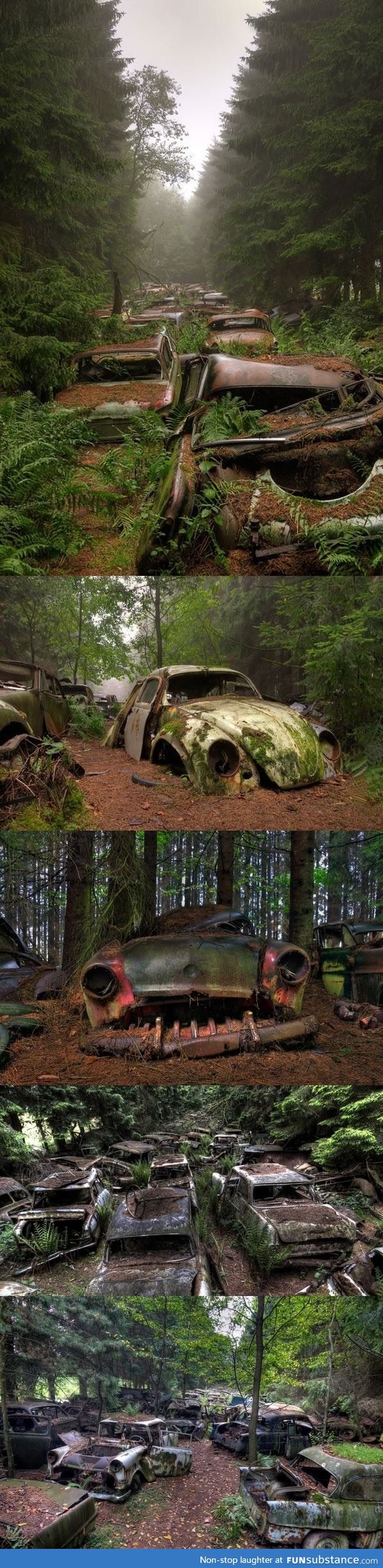 A hidden traffic jam in the woods, Belgium