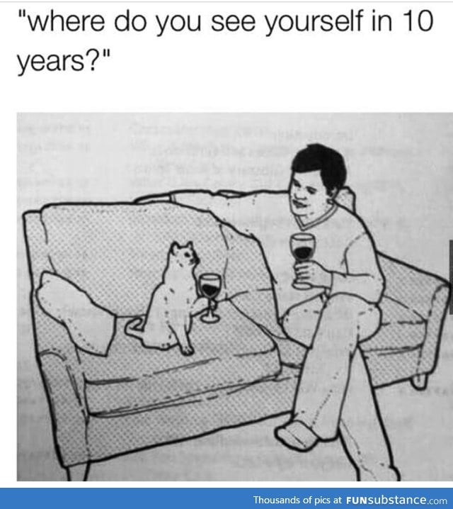 But with more cats