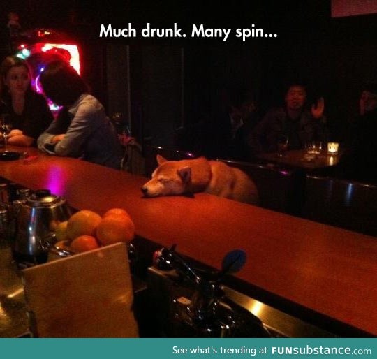 Ruff night, doge