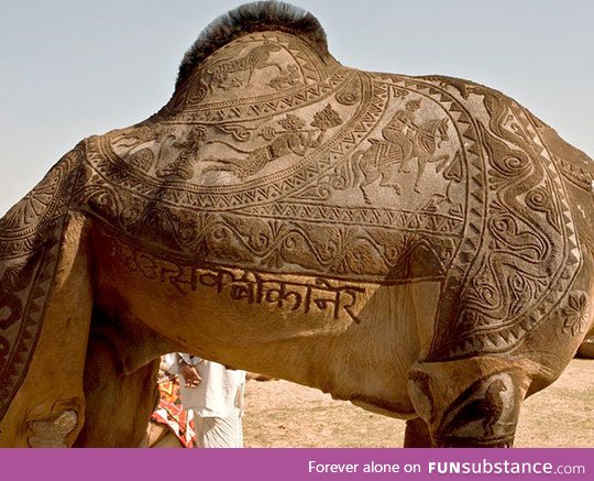 Camel haircut