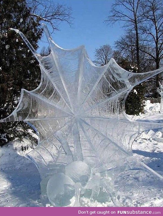 Frozen Spider