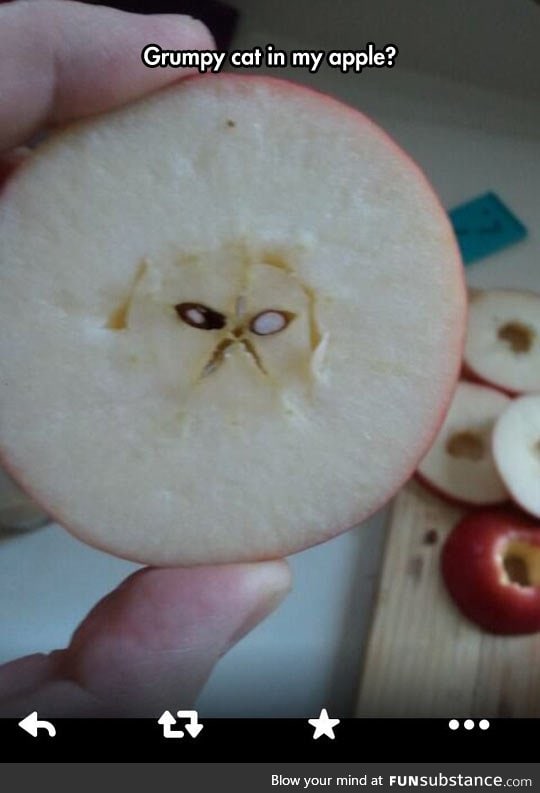 You May Say That's A Grumpy Apple