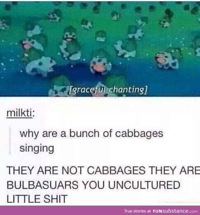 CABBAGE