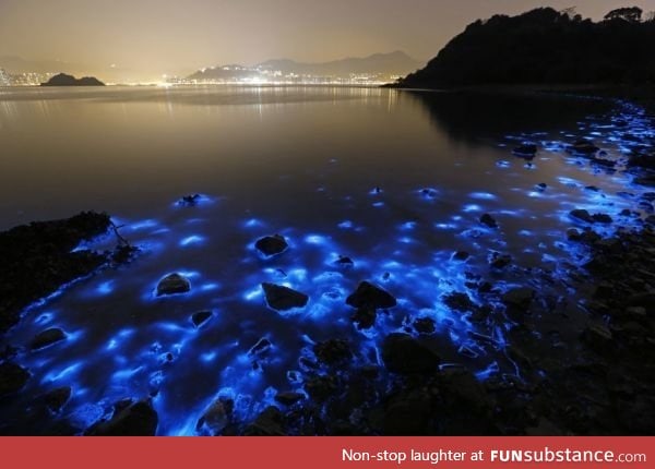 Algae bloom in Chinese Waters