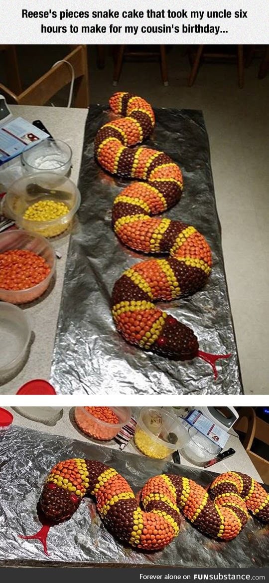 Snake cake seems real