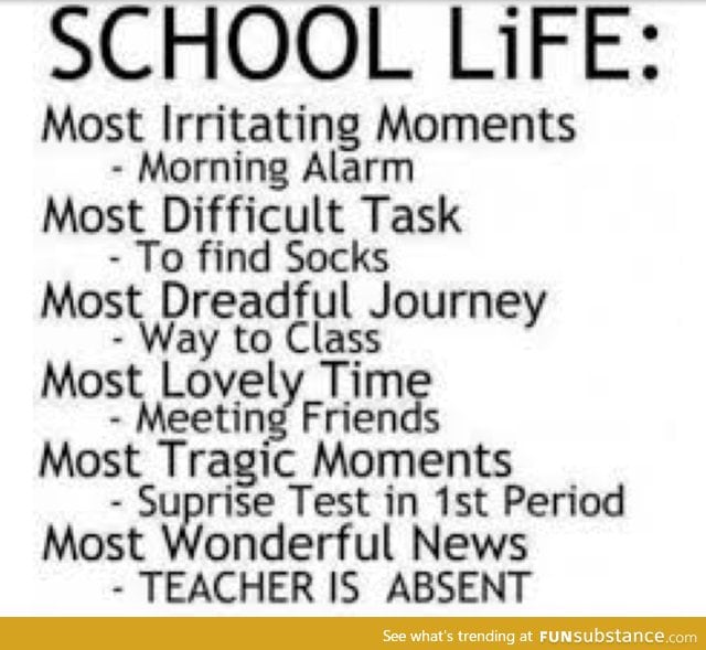 true school life