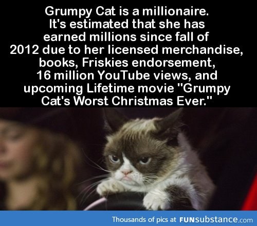 Grumpy Cat is a millionaire. It's estimated that she has earned millions