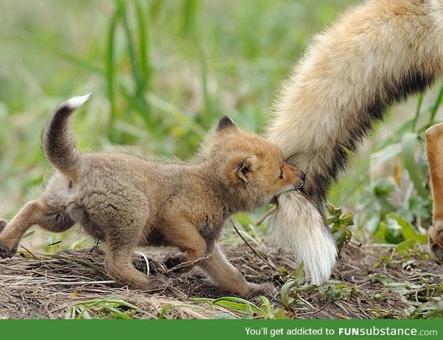 "mommy wait for me"