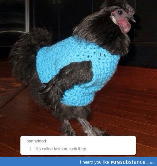 Chicken sweaters. The future is here!