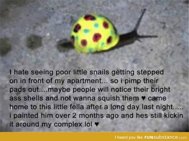 Save the snails!