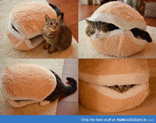 Hot cat burger