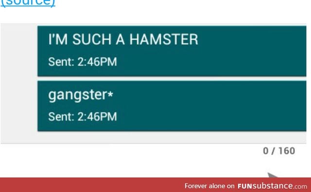 Hamster life