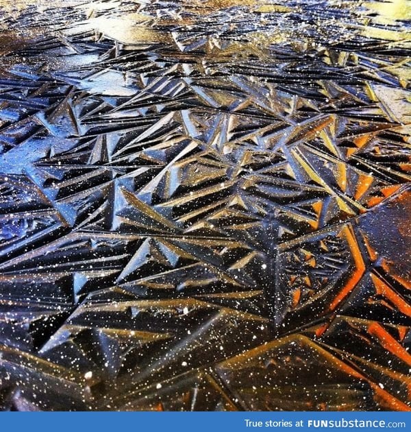 Geometric pond ice in southern oregon