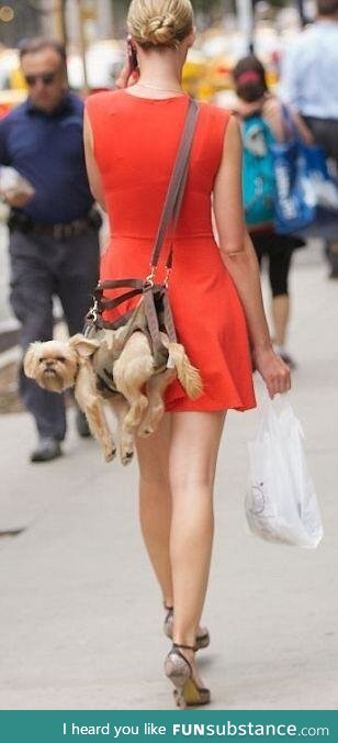 I like to imagine that this dog has just completed a parachute jump and landed on a woman