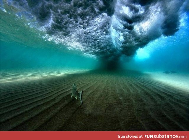 Underneath a breaking wave