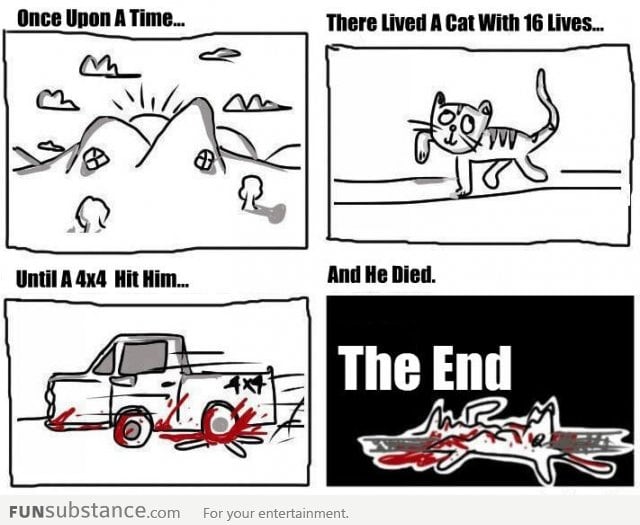 A Cat Story