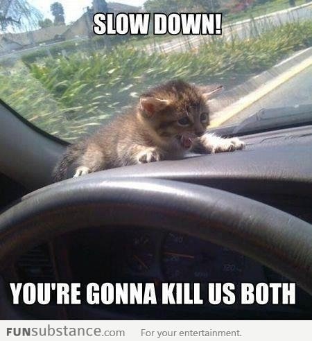 Slow Down!