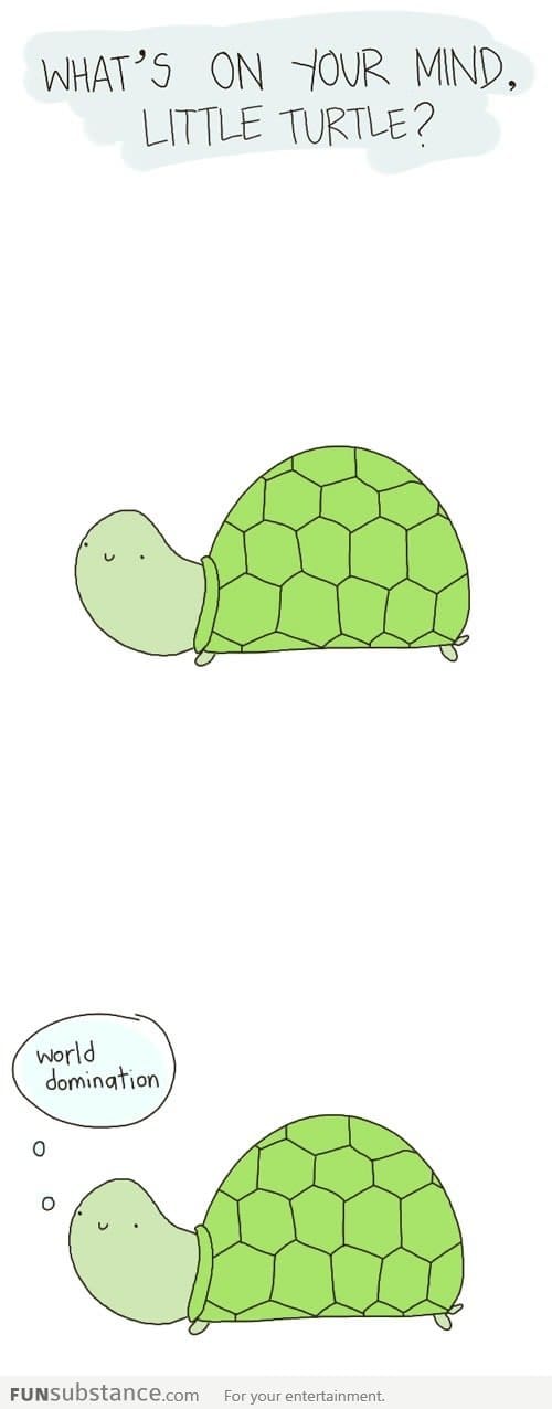 What's on your mind, little turtle?