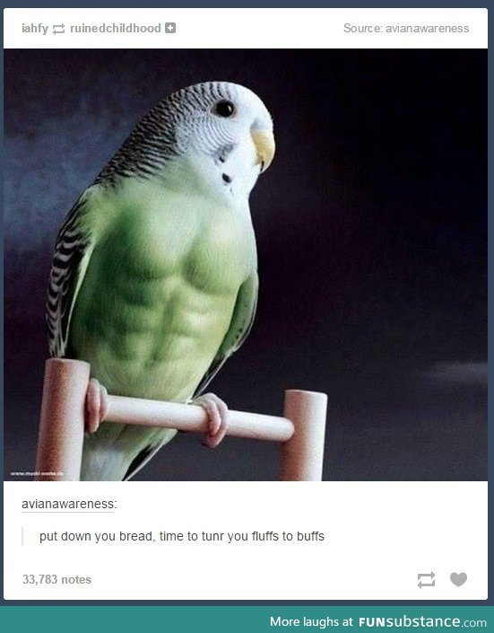 He'll Peck Your Shit