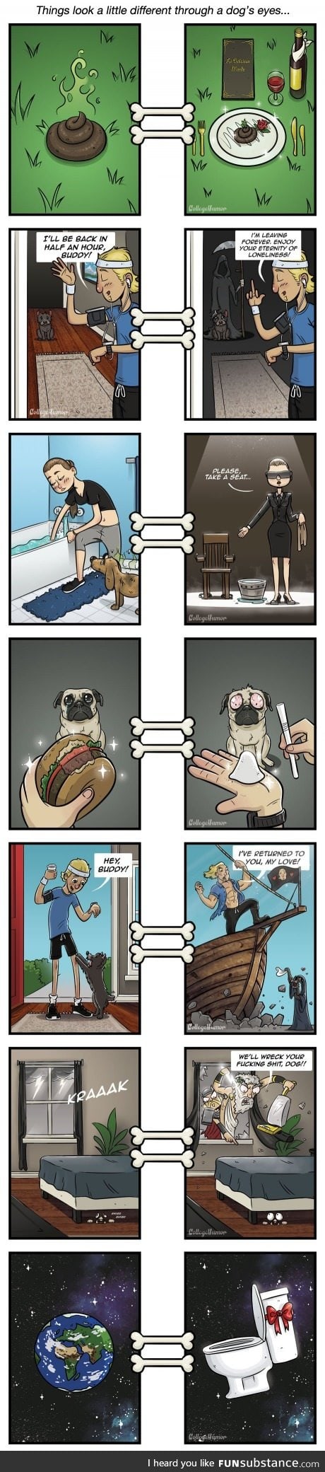 the world through a dog's eyes