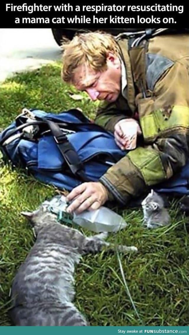 Firefighter with a respirator resuscitating a mama cat while her Kitten