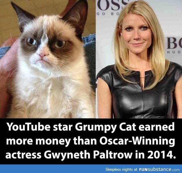 Rich Grumpy Cat