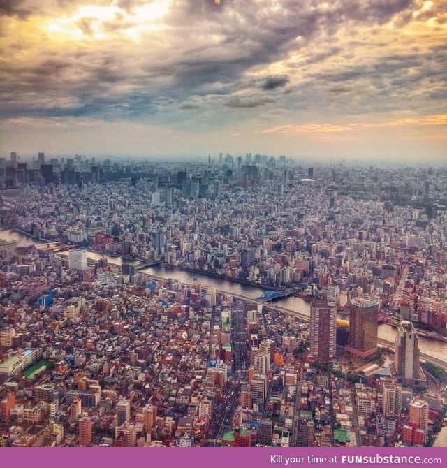 Tokyo from above