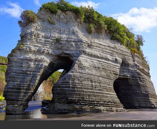 Elephant rock in new zealand