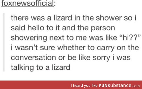 Lizard