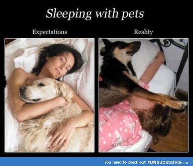 Sleeping with your pet