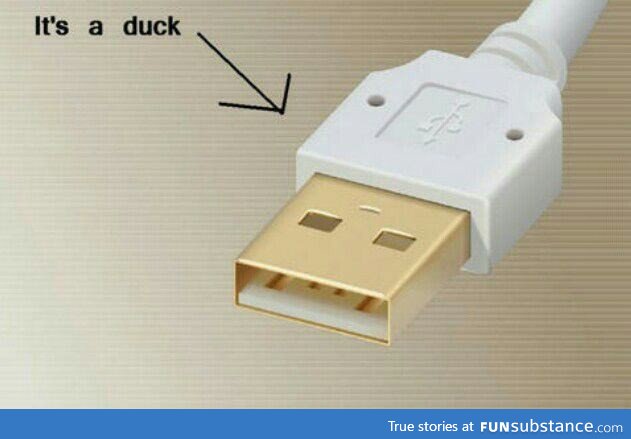 Anyone else got a usb plug like this?