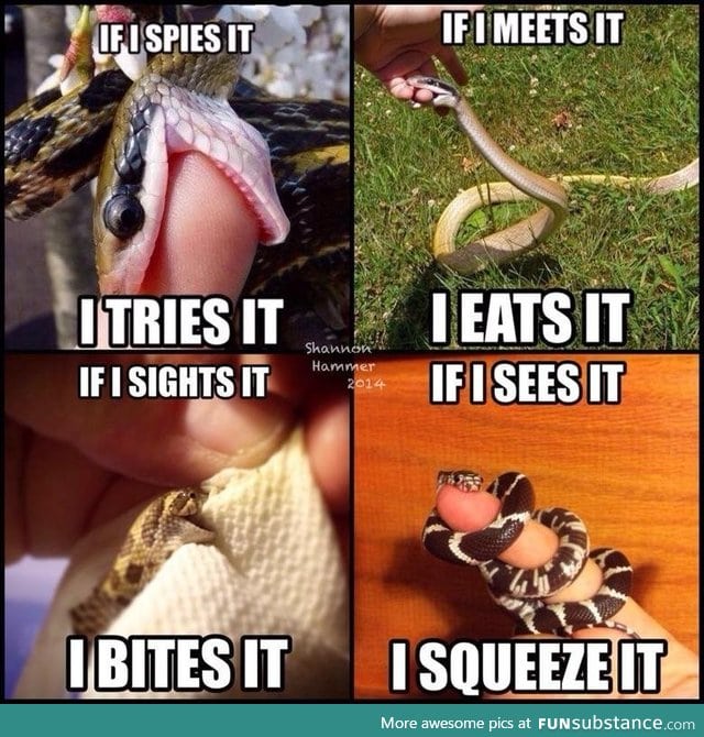 Sneks