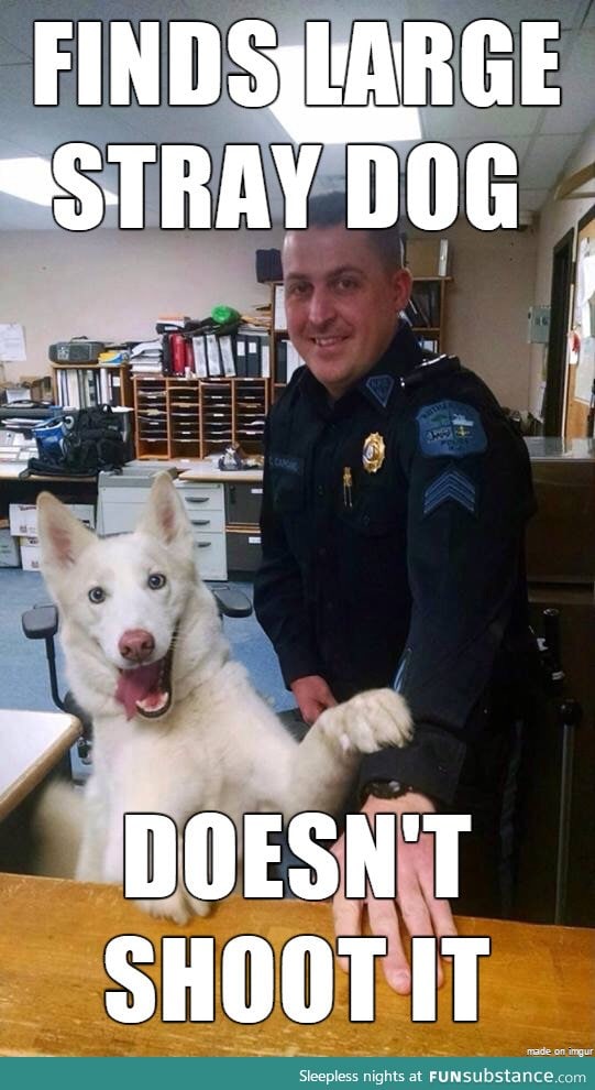 Good guy cop