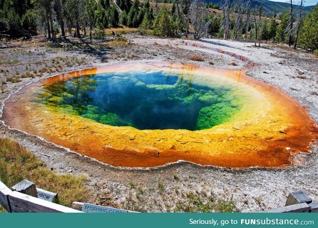 Morning glory rainbow pool, yellowstone national park